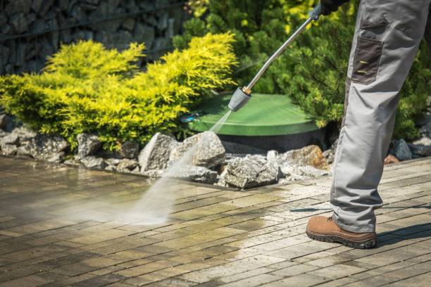 Animal Enclosure Cleaning in The Plains, OH